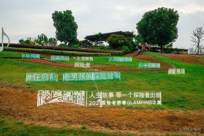 学习插花艺术